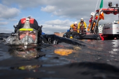 Marine Search Rescue 18